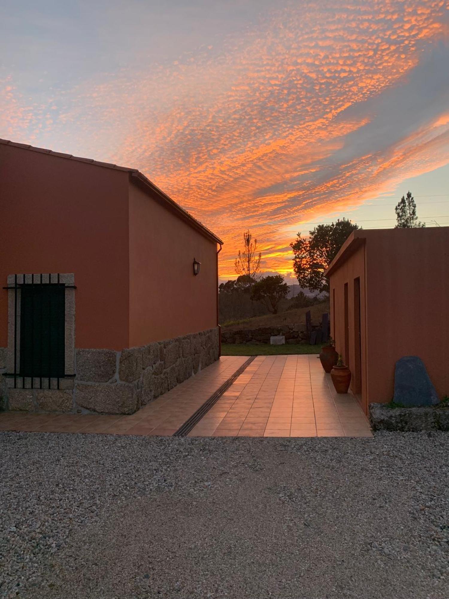 Quinta Dos Cedros L Turismo Rural Covilha Exterior photo
